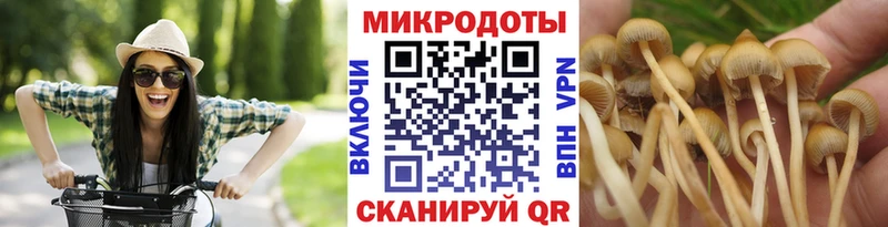 Псилоцибиновые грибы Psilocybe  что такое   Андреаполь 
